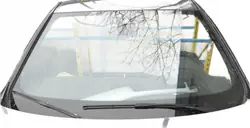 Pare-brise BMW OE 51317258072 d'occasion - Adapté