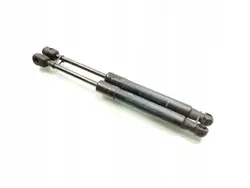 Bisagras de capó Renault Scenic 2010 654700008R