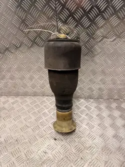 Mola pneumática traseira BMW 5 F11 OEM 7513706