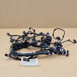 Faisceau Moteur Mercedes OEM A2541509401