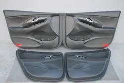 Paneles de Tapicería Puerta OEM BOCZKIDRZWII30III