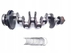 Vilebrequin Fiat Doblo OEM 198A3.000 1.6 D Multijet