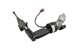 Inserción de llave de contacto OEM N0502455 Peugeot 407