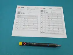 Geteste injector OEM EJBR01001A voor Citroen C3 1.4 HDI