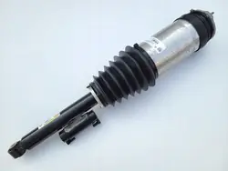 Amortizzatore Destro TESLA MODEL X