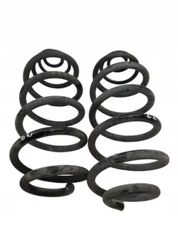 OEM 5907911268480 Muelles Traseros para Peugeot Expert III
