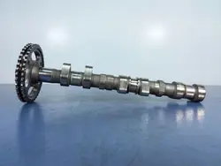 Porsche OEM 94624401 Arbre à Cames Échappement Gauche