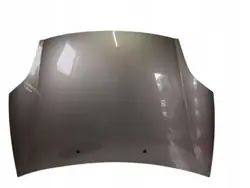 Capot Fiat Bravo II 865/B - Pièce OEM d'Occasion