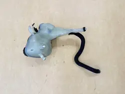 Réservoir de liquide de refroidissement OEM 2215000449 Mercedes