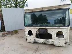 DAF XF X106 Ohjaamon neljännespaneeli OEM 01 - Käytetty