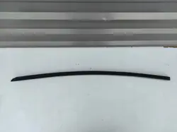 OEM 1080681-00-H Chrom-Fensterabstreifer Rechte Vordertür