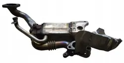 Arrefecedor EGR usado OEM 55567726 para Opel Astra J