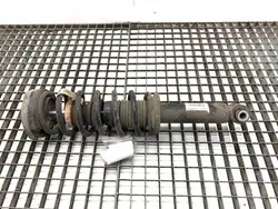 Achter Rechts Schokdemper OEM 6796317 BMW F25 SUV
