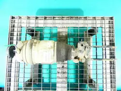 Ammortizzatore Anteriore Destro VW Touareg I 7L