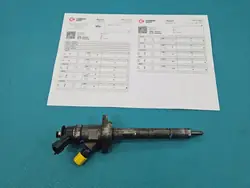 Inyector probado OEM 0445110311 para Citroen Berlingo II