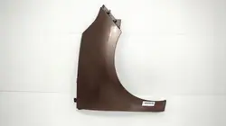 Aile avant droite OEM 360167898 pour Renault Scenic III