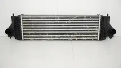 OEM 360203987 Intercooler Suzuki Grand Vitara II 2.0D:lle