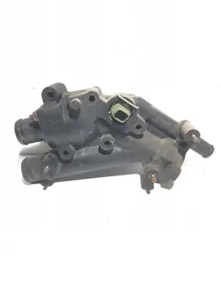 Termostat Peugeot 407