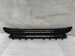 OEM 2G0853677L VW Polo 2G0 Stoßstangen-Mittelgitter