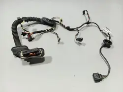 Harness da porta dianteira direita OEM 7P5971161BL