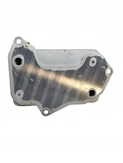 Vaihteistönjäähdytin Ford Connect MK3 OEM 0DD317019B