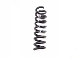 Mola suspensão traseira BMW_3_F30_SEDAN_11-18 OEM