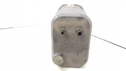 Filtre à charbon OEM 82488547 pour Fiat Coupe 1.7