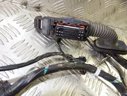 Faisceau Porte OEM 91620-2Y170 Gauche Avant Hyundai IX35