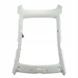 OEM 1623418-00-F Cobertura de teto para Tesla Model Y