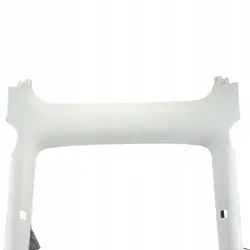OEM 1623418-00-F Couvre-toit pour Tesla Model Y