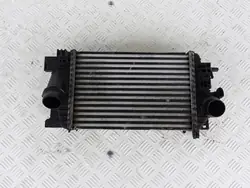 Radiatore Opel OE 13337687