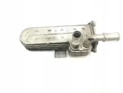 Refrigerador de escape OEM 038131513AD para Skoda