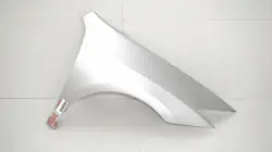 Para-lamas dianteiro direito OEM 365578011 para Renault Laguna III