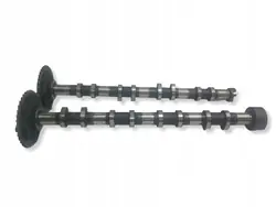 Steuerkettenritzel OEM 6C1Q6256AB für 2.2HDI