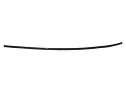 Carril de techo izquierdo BMW F34 OEM 51137338835 - Marrón brillante