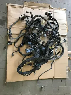 Motor Kabelboom Ford F150 Raptor 2017-2020 OEM HL3H19B855ST