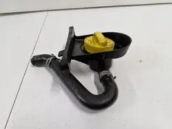 Renault OE Öljytäyttökorkki OEM 152594221R - Käytetty