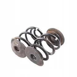 Conjunto de molas traseiras BMW Z4 E85/E86 OEM 6760604