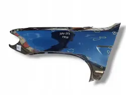 Parafango anteriore sinistro BMW X5 E53 2002