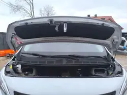 OEM TWS45064 Almohadilla Capó + Grapas Peugeot