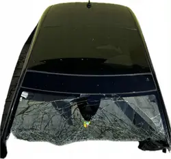 Panoramadak OEM 3C8877041 voor VW Passat CC 08-12