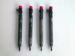 Injecteur EMBR00101D 9686191080 pour Peugeot Citroen Ford