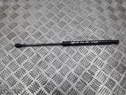 Supports de hayon arrière Renault Captur 2021 700021056580