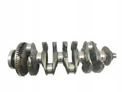 Kampiakseli OEM 1257866 Chevrolet Captiva 2.4 16V
