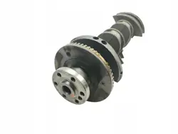 Vilebrequin OEM 1257866 pour Chevrolet Captiva 2.4 16V