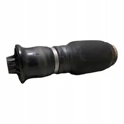 Mercedes-Benz OE A1643200625 Molla Posteriore