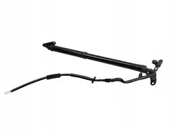 Actuador de portón trasero derecho OEM 68910-42016 Toyota RAV4