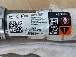 OEM 13393369 Vänster Airbaggardin för Opel Insignia B
