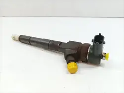 Injecteur OEM 0445110243 pour Opel Signum 1.9 CDTI