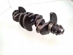 Krukas OEM R1660301 voor Mercedes W168 1.6